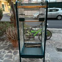 Gabbia pappagalli grandi
