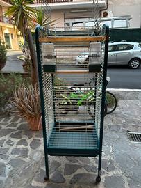 Gabbia pappagalli grandi