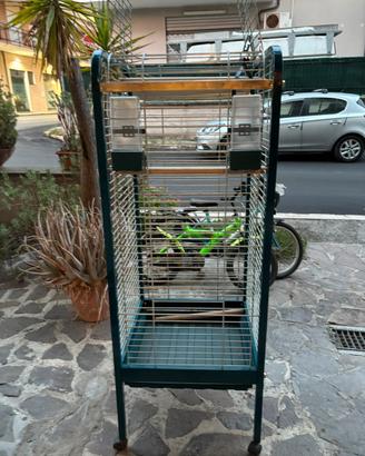 Gabbia pappagalli grandi