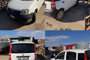 Panda van