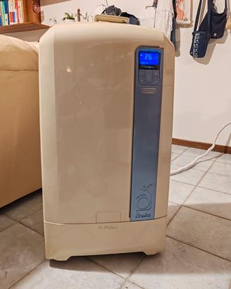 Condizionatore Pinguino de Longhi PAC WE 110ECO