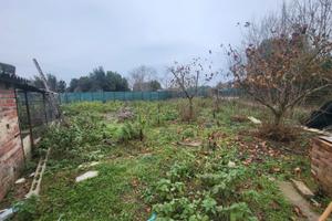 Terreno agricolo 1 ettaro Capanne Perugia PT/124