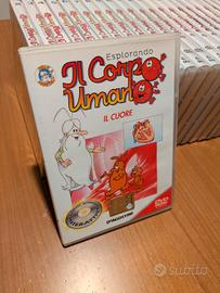 Collana DVD