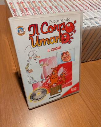 Collana DVD