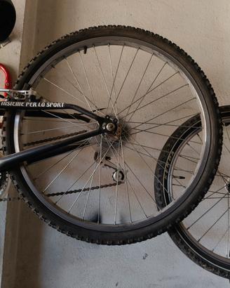 mountain bike bicicletta 