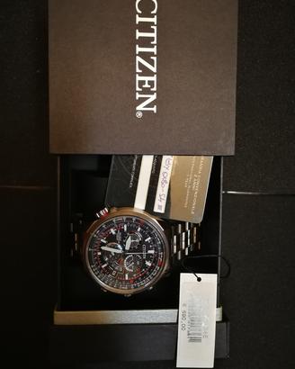 citizen the pilot 