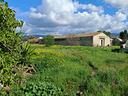 r-431-capannone-con-4000mq-giardino