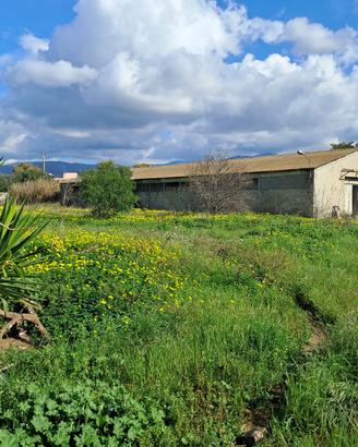 R.431 Capannone con 4000mq giardino