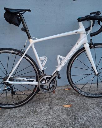 trek edmonda