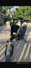 Bici elettriche