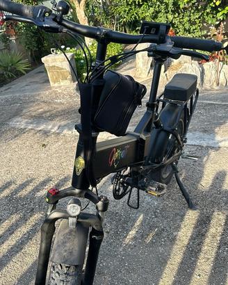 Bici elettriche