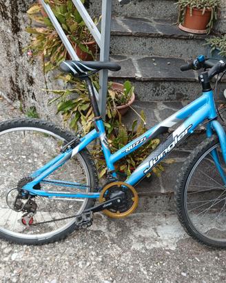Bicicletta da ragazza/o