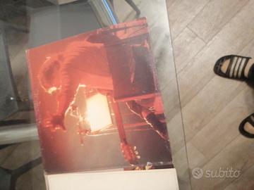 De André - P. F. M. in concerto