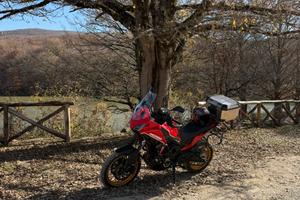 Morini x cape 650 gold