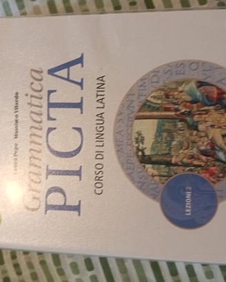 Libro Grammatica Picta Lezioni 2