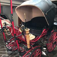 Carrozza Dottorina
