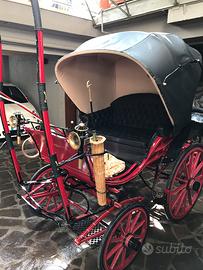 Carrozza Dottorina