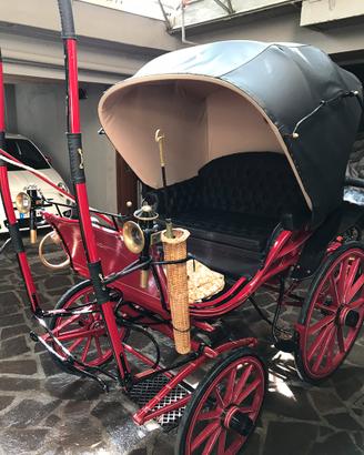 Carrozza Dottorina
