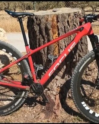 MTB 29 carbonio 