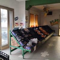 Negozio con cella frigo e appartamento annesso