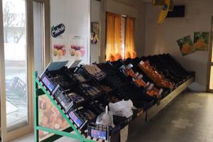 Negozio con cella frigo e appartamento annesso