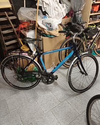 bicicletta trekking sport 