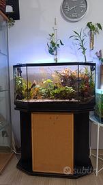 Acquario completo 80 litri