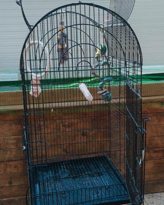 gabbia per pappagalli grandi 