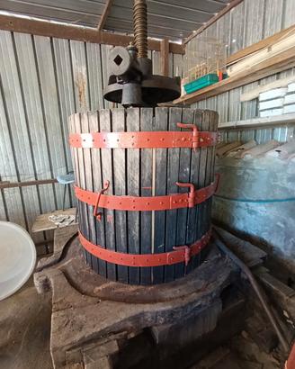 torchio in legno per uva