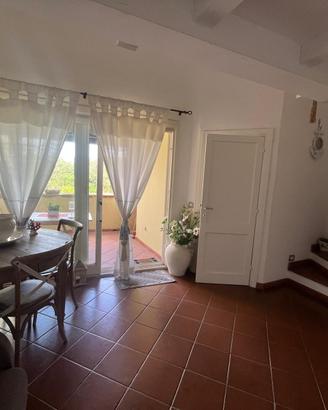 porto rotondo in residence