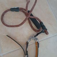 Accessori cane/gatto