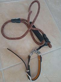Accessori cane/gatto