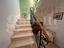 Immagine 19
