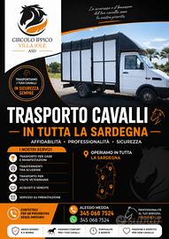 Trasporto cavalli