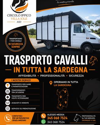 Trasporto cavalli