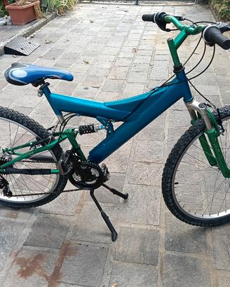 mountain-bike 