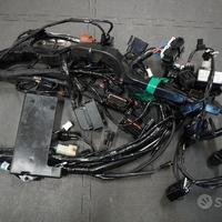 Ricambi Triumph Street Triple 765 R dal 2017