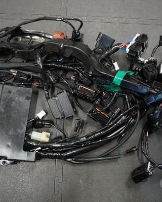 Ricambi Triumph Street Triple 765 R dal 2017