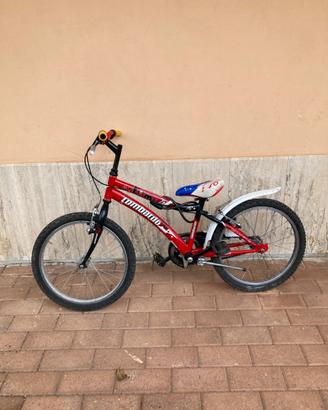 Bicicletta lombardo 20