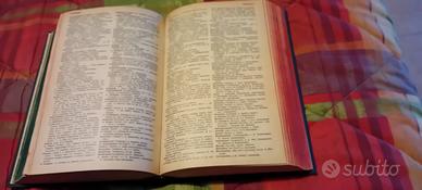 dizionario garzanti