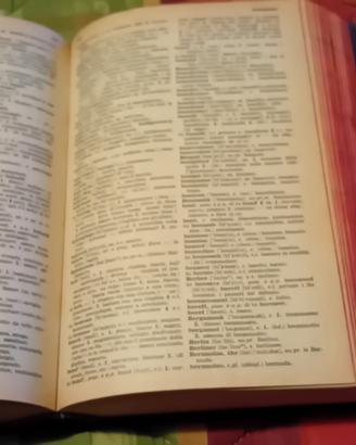 dizionario garzanti