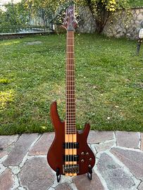 ESP LTD D-5 Basso 5 Corde