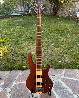 ESP LTD D-5 Basso 5 Corde