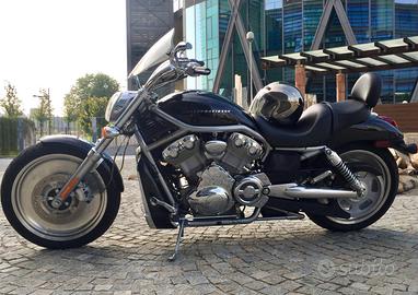V-ROD HARLEY DAVIDSON