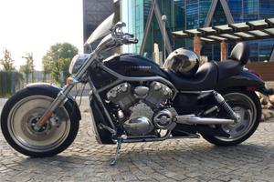 V-ROD HARLEY DAVIDSON