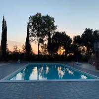 Appartamento bilocale con giardino in residence