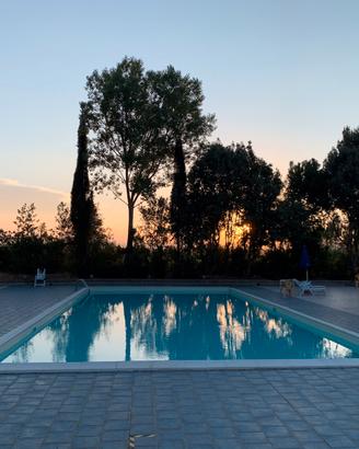 Appartamento bilocale con giardino in residence