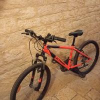 MTB ruota da 24