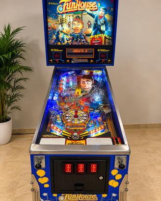 FLIPPER WILLIAMS FUNHOUSE