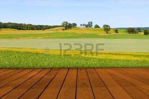 Terreno di 2200 m² a Piazzola sul Brenta